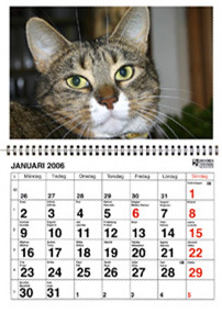 kalender2006
